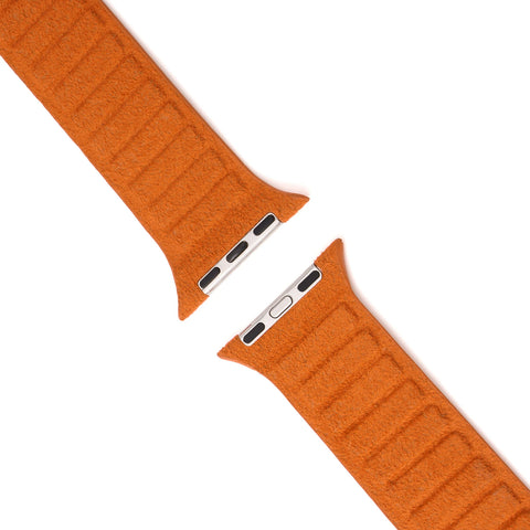 Secure Watch Installation